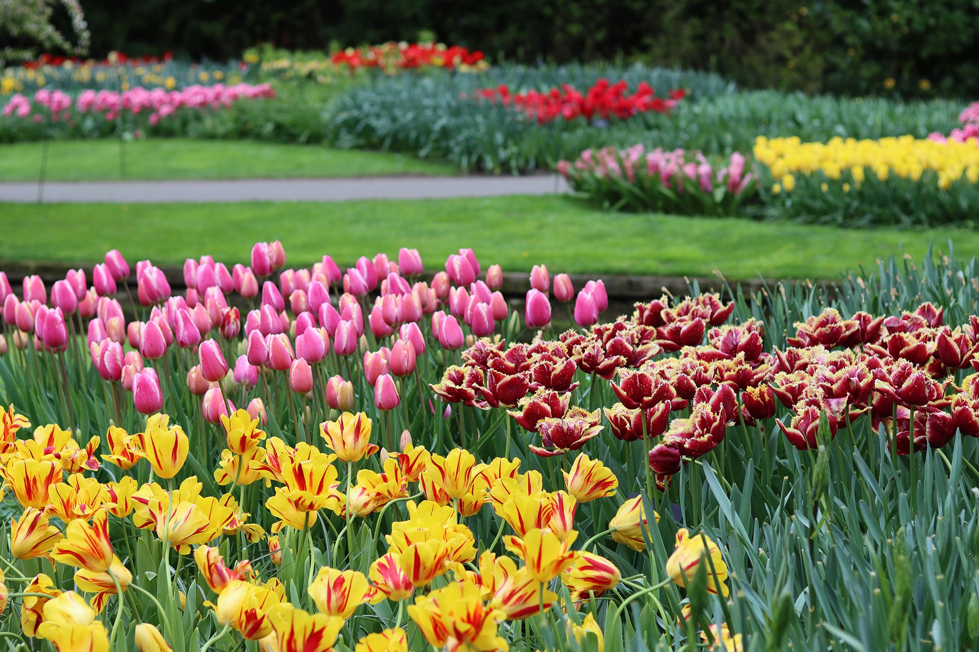 What To Do For Spring Break in the Ann Arbor Area